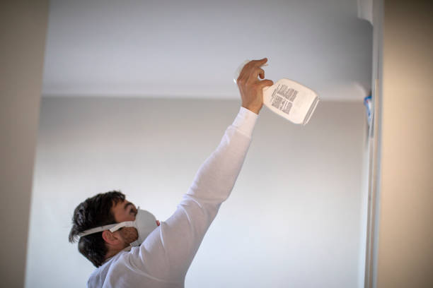 Best Black Mold Remediation in Rainbow Park, FL
